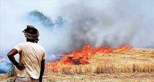 पराली जलाते लोग (फाइल फोटो)