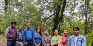 शिमला में पूर्व पार्षद ने ग्लेन एरिया में लगाए 45 देवदार