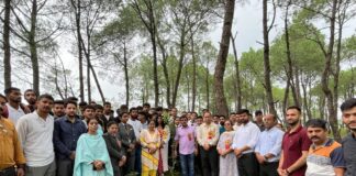 अखिल भारतीय विद्यार्थी परिषद के एस.एफ.डी आयाम के पौधा रोपण अभियान