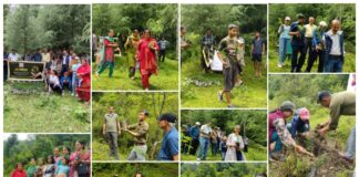 वन महोत्सव के अवसर पर पीआरएसआई शिमला चैप्टर ने रोप पौधे