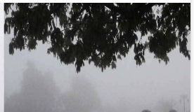 मूसलाधार बारिश के चलते अनावश्यक अपने घरों से बाहर न निकलें किन्नौर जिला के लोग - सहायक आयुक्त