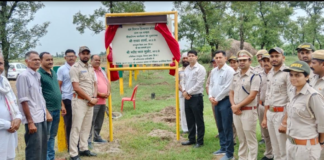उपायुक्त ने बसाल में रोपित किया बेहड़ा का औषधीय पौधा