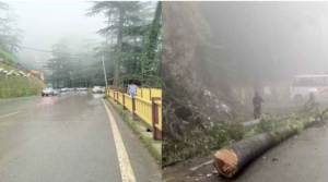 शिमला में जगह-जगह ढहे पेड़, भट्ठाकुफर में भूस्खलन
