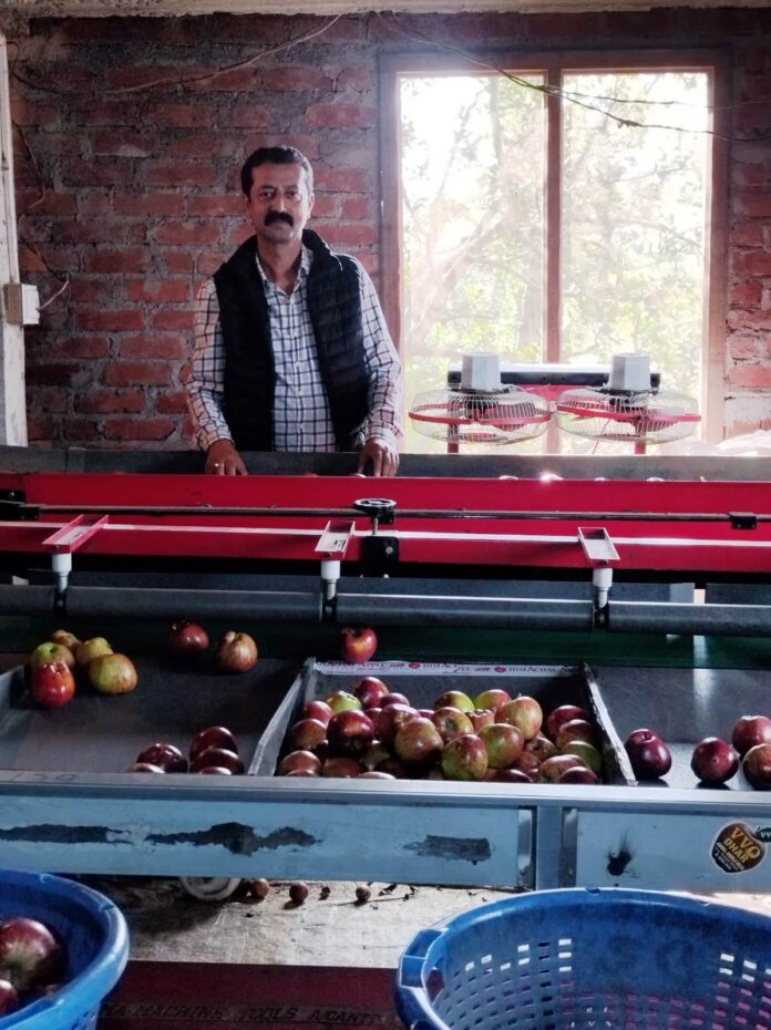 सेब विपणन की नई प्रक्रिया से बागवान हो रहे लाभान्वित
