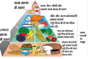 संतुलित भोजन का सेवन करना चाहिए