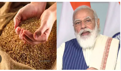 Screenshot 2024-02-23 11.03.47 AM