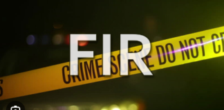 fir
