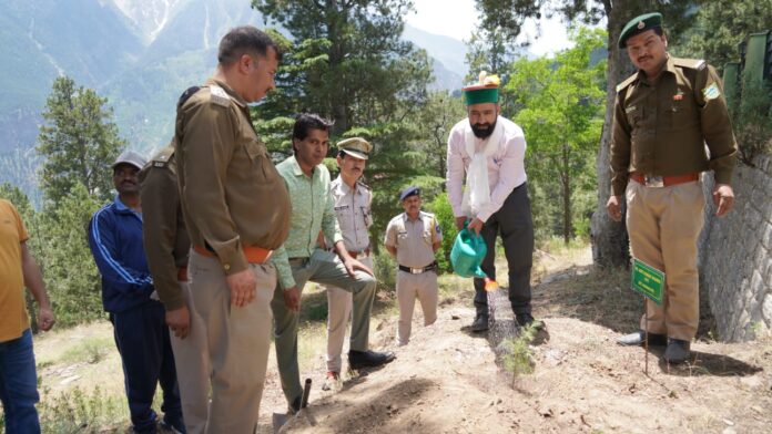 WhatsApp Image 2024-06-05 at 12.34.43 PM (1)