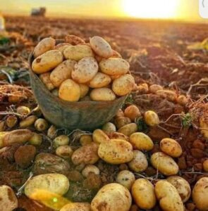 Climate change has changed the face of agriculture in Uttarakhand