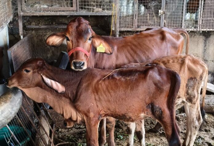 7142cf30-e29f-495c-9893-d7deb3aac617