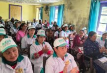 मंडी में “मधु मांडव” पहल के तहत मधुमक्खी पालन प्रशिक्षण कार्यक्रम शुरू