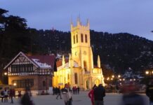 शिमला सुरक्षित, पर्यटन प्रभावित नहीं: गौरव शर्मा