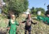 हमीरपुर की महिला किसान ने प्राकृतिक खेती से कमाई दोगुनी की