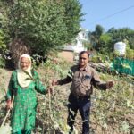 हमीरपुर की महिला किसान ने प्राकृतिक खेती से कमाई दोगुनी की