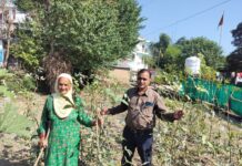 हमीरपुर की महिला किसान ने प्राकृतिक खेती से कमाई दोगुनी की