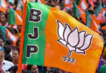 भाजपा हिमाचल ने सोशल मीडिया विभाग की नई टीम की घोषणा