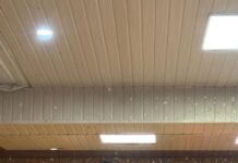 एबीवीपी हिमाचल ने स्वर्गीय सुनील उपाध्याय की पुण्यतिथि पर विशेष संगोष्ठी आयोजित