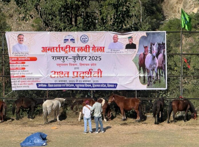 69974864-3ff3-4916-8f62-8977531d56b7