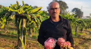 प्राकृतिक खेती से ड्रैगन फ्रूट की उपज में कमाया नाम, बने सैकड़ों किसानों की प्रेरणा