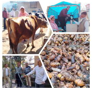 संगठन से संवरती किस्मत, 500 किसानों को मिली नई दिशा, गांव बना आत्मनिर्भरलंबागांव की नई पहल, किसान सशक्तिकरण की प्रेरक कहानी