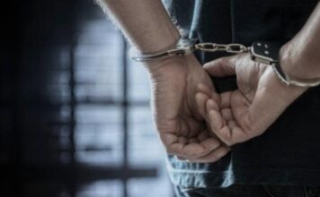 शिमला पुलिस ने नशे के सौदागरों पर कसा शिकंजा, जुब्बल से दो हिरासत में लिए