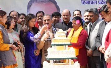 मुख्यमंत्री ने 62वां जन्मदिवस पर चिनार का पौधा लगाकर प्रदेशवासियों के साथ मनाया,