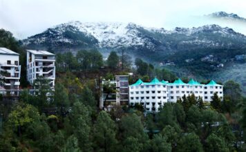 🚨 बड़ी खबर: हिमाचल का शूलिनी विश्वविद्यालय ग्लोबल टॉप 500 में