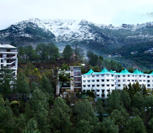 🚨 बड़ी खबर: हिमाचल का शूलिनी विश्वविद्यालय ग्लोबल टॉप 500 में