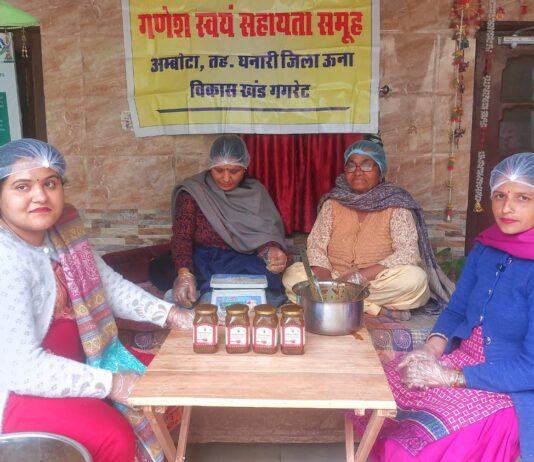 अंबोटा की निशु सूद बनीं आत्मनिर्भरता की मिसाल, चटनी-अचार से हर महीने 60 हजार तक मुनाफा