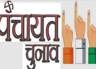 रोहड़ू पंचायत समिति चुनाव परिणाम: 15 वार्डों में नए जनप्रतिनिधियों का हुआ चयन, कई सीटों पर रही कांटे की टक्कर