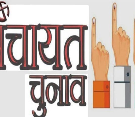 रोहड़ू पंचायत समिति चुनाव परिणाम: 15 वार्डों में नए जनप्रतिनिधियों का हुआ चयन, कई सीटों पर रही कांटे की टक्कर